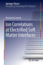 Ion Correlations at Electrified Soft Matter Interfaces