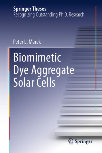 Biomimetic Dye Aggregate Solar Cells