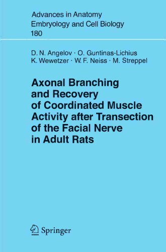 Axonal Branching and Recovery of Coordinated Muscle Activity after Transection of the Facial Nerve in Adult Rats