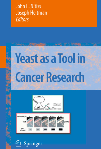 Yeast as a Tool in Cancer Research