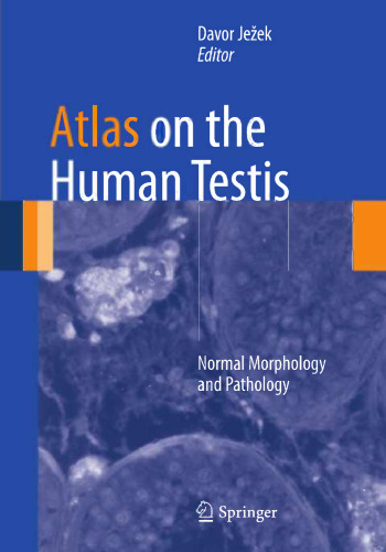 Atlas on the Human Testis: Normal Morphology and Pathology