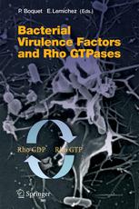 Bacterial Virulence Factors and Rho GTPases