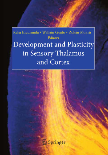 Development and Plasticity in Sensory Thalamus and Cortex