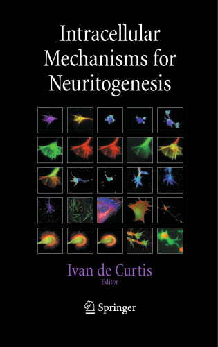 Intracellular Mechanisms for Neuritogenesis