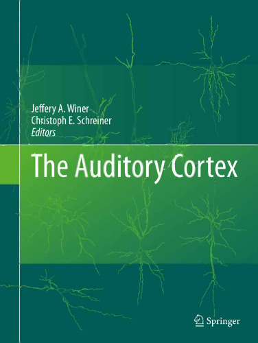 The Auditory Cortex