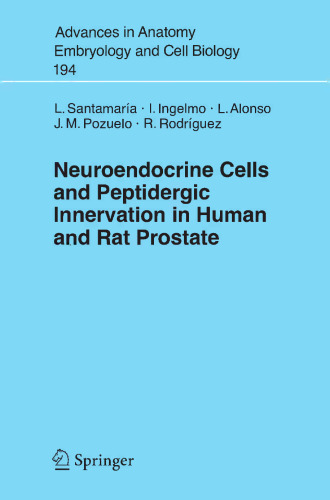 Neuroendocrine Cells and Peptidergic Innervation in Human and Rat Prostate