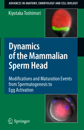 Dynamics of the Mammalian Sperm Head: Modifications and Maturation Events From Spermatogenesis to Egg Activation