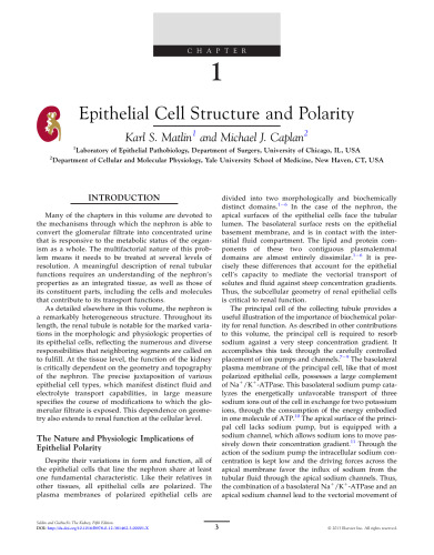 Seldin and Giebisch's The Kidney. Physiology & Pathophysiology 1-2