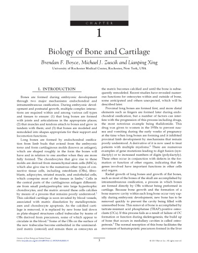 Genetics of Bone Biology and Skeletal Disease