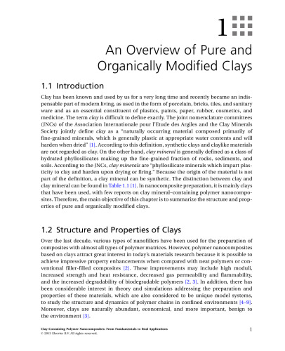 Clay-containing Polymer Nanocomposites. From Fundamentals to Real Applications