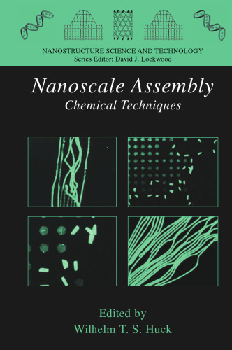 Nanoscale Assembly: Chemical Techniques