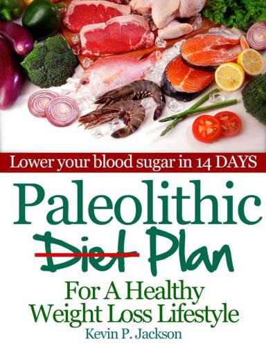 Paleolithic Diet Plan For A  Healthy Weight Loss Lifestyle: Lose Weight Fast and Eat Healthier