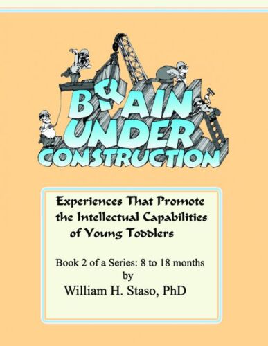 Brain Under Construction