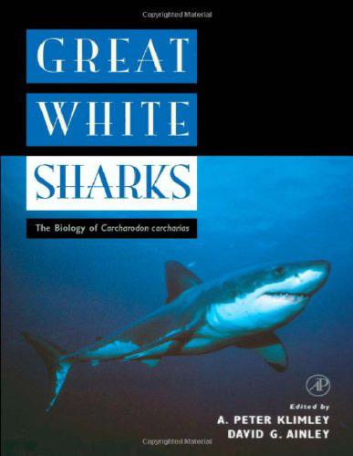 Great White Sharks: The Biology of Carcharodon carcharias