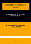 Neurobiology of Ischemic Brain Damage