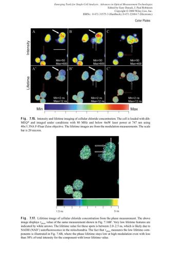 Emerging Tools for Single-Cell Analysis