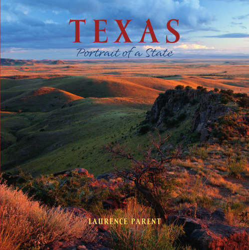 Texas: Portrait of a State