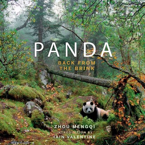 Panda: Back from the Brink. Zhou Mengqi