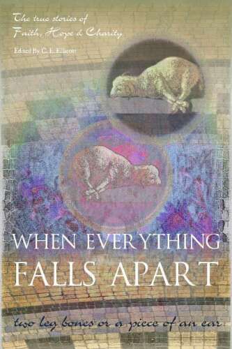 When Everything Falls Apart: Two Leg Bones or a Piece of an Ear