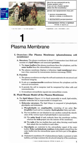 Board Review Series: Cell Biology and Histology