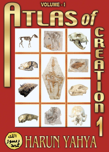 Atlas Of Creation