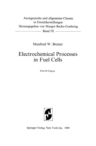 Electrochemical Processes in Fuel Cells