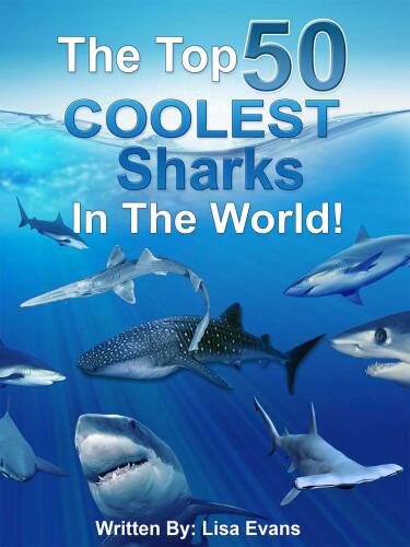 The Top 50 COOLEST Sharks in the World!