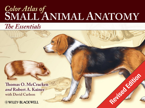 Color Atlas of Small Animal Anatomy: The Essentials