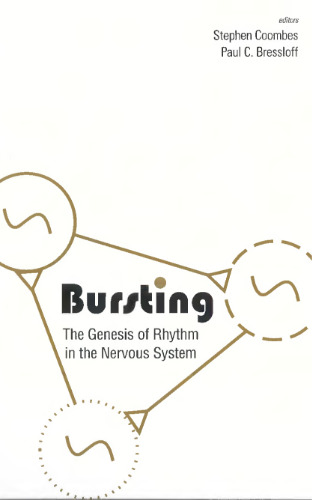 Bursting: the genesis of rhythm in the nervous system