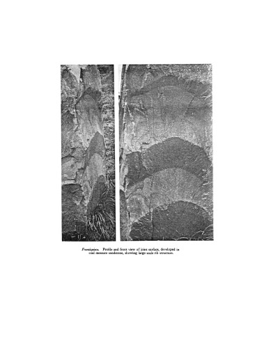 Fault and Joint Development in Brittle and Semi-Brittle Rock