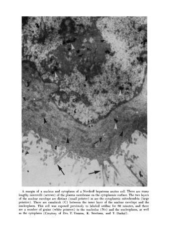 The Molecular Biology of Cancer