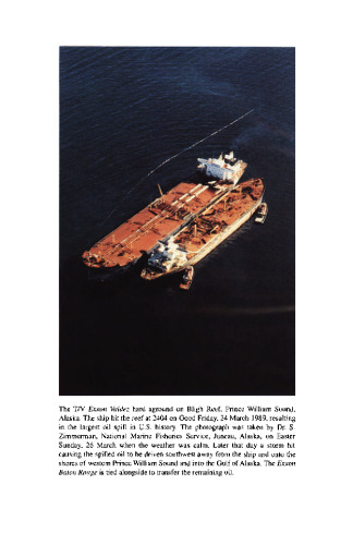 Marine Mammals and the Exxon Valdez