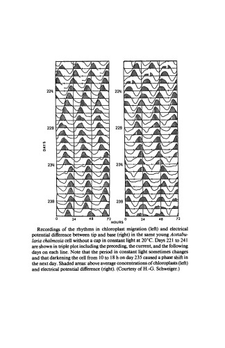 Rhythmic Phenomena in Plants