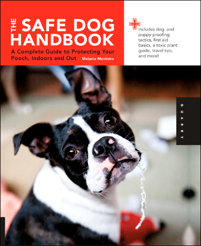 Safe Dog Handbook: A Complete Guide to Protecting Your Pooch, Indoors and Out