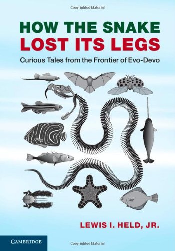 How the Snake Lost its Legs: Curious Tales from the Frontier of Evo-Devo