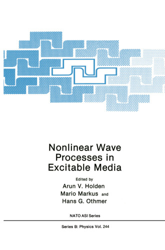 Nonlinear Wave Processes in Excitable Media