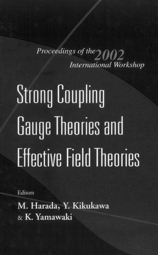 Strong coupling gauge theories and effective field theories: proceedings of the 2002 international workshop