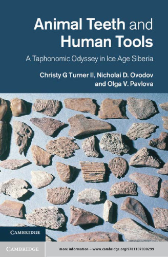 Animal Teeth and Human Tools. A Taphonomic Odyssey in Ice Age Siberia