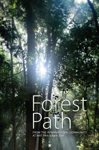 Forest Path, 2nd Edition