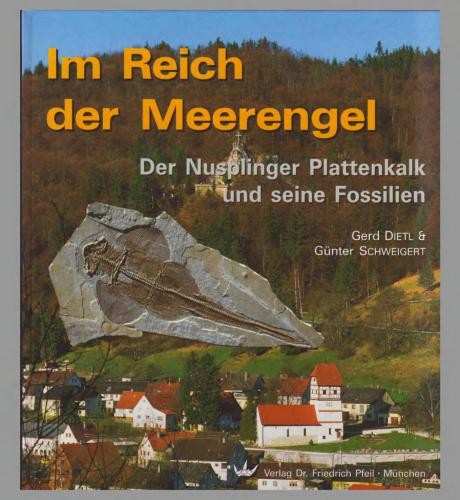 Im Reich der Meerengel