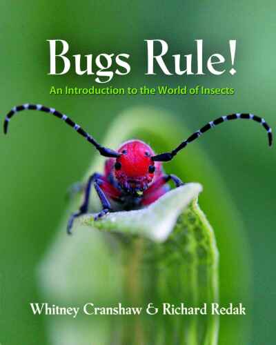 Bugs Rule!: An Introduction to the World of Insects