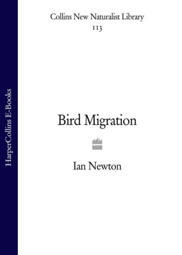 Bird Migration