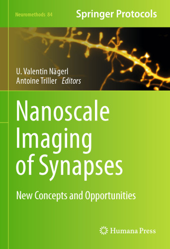 Nanoscale Imaging of Synapses: New Concepts and Opportunities