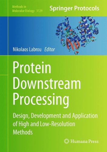 Protein Downstream Processing: Design, Development and Application of High and Low-Resolution Methods