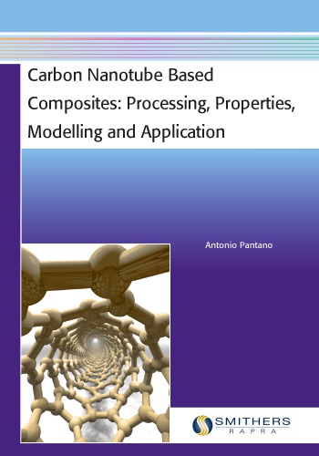 Carbon Nanotube Based Composites : Processing, Properties, Modelling and Application