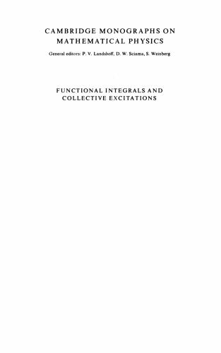 Functional Integrals and Collective Excitations