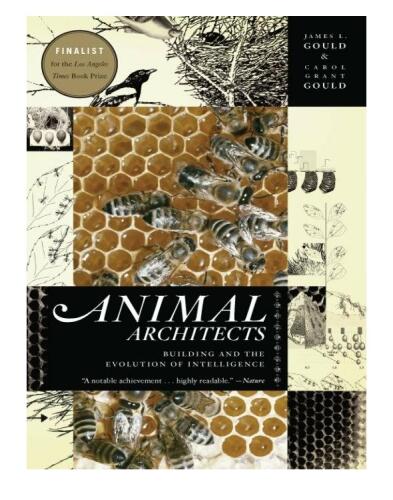 Animal Architects: Building and the Evolution of Intelligence