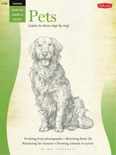 Drawing: Pets: Learn to paint step by step