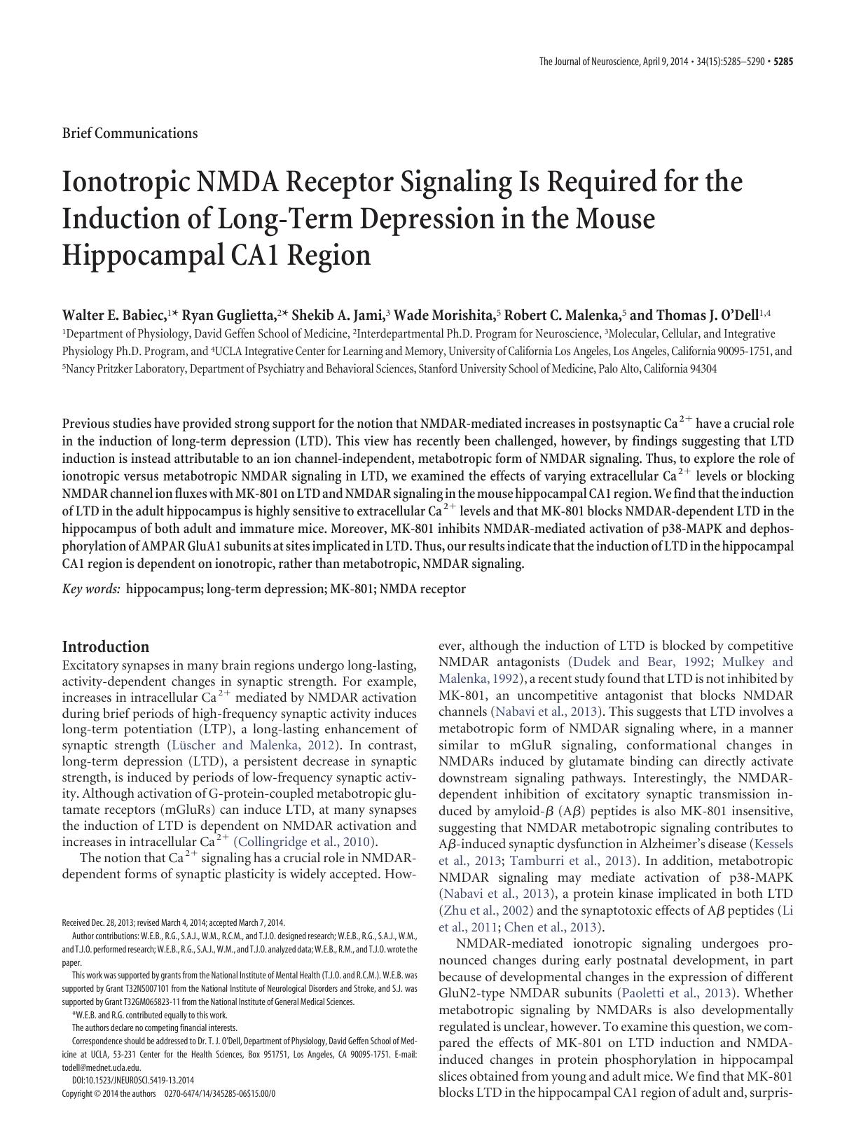 Ionotropic NMDA Receptor Signaling Is Required for the Induction of Long-Term Depression in the Mouse Hippocampal CA1 Region