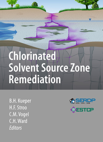 Chlorinated Solvent Source Zone Remediation